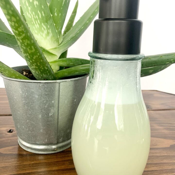 Foaming hand soap bottle next to aloe vera plant