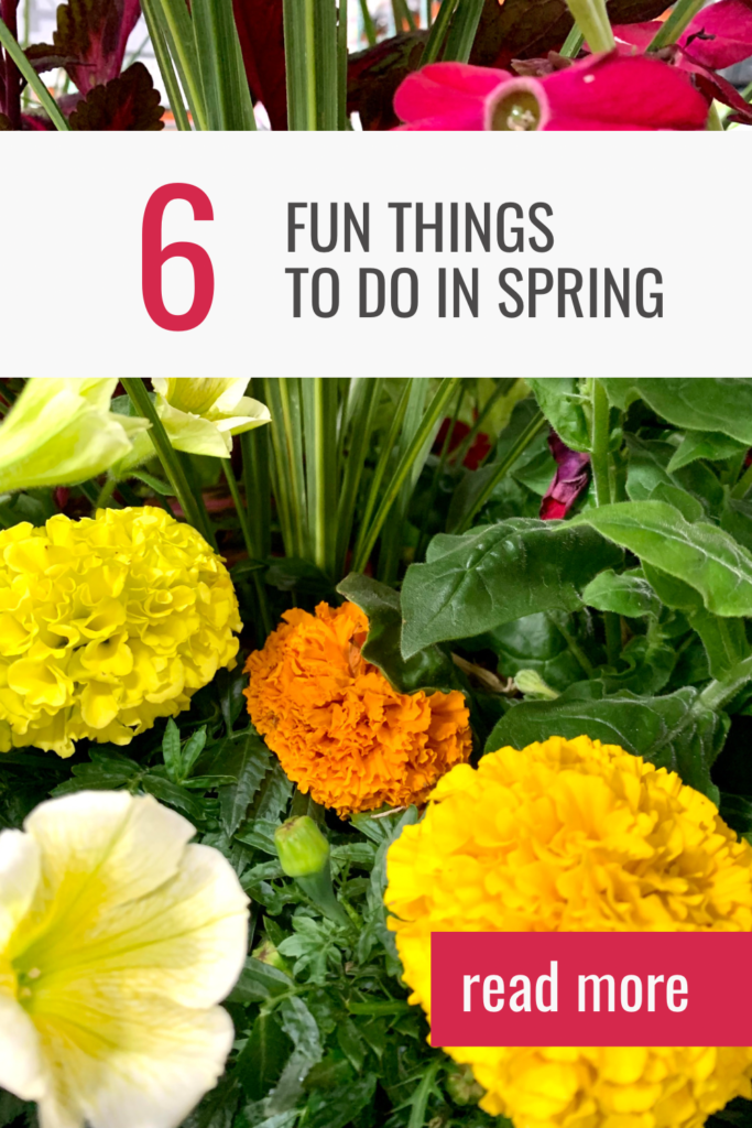 6 Fun Things To Do In Spring - Simply Loving Country