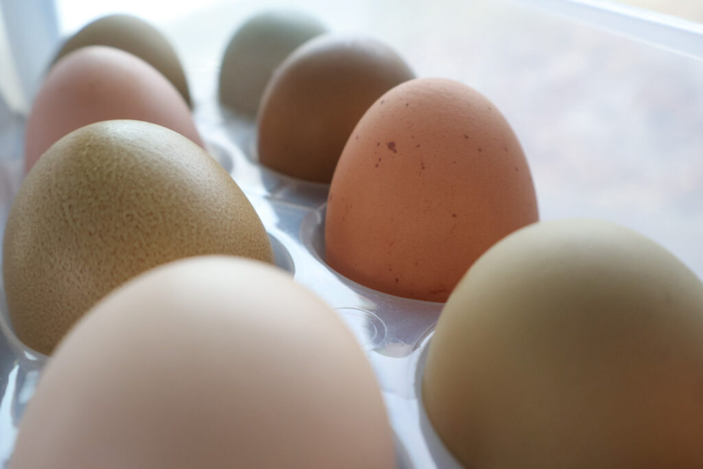 Colorful eggs brown green and speckled